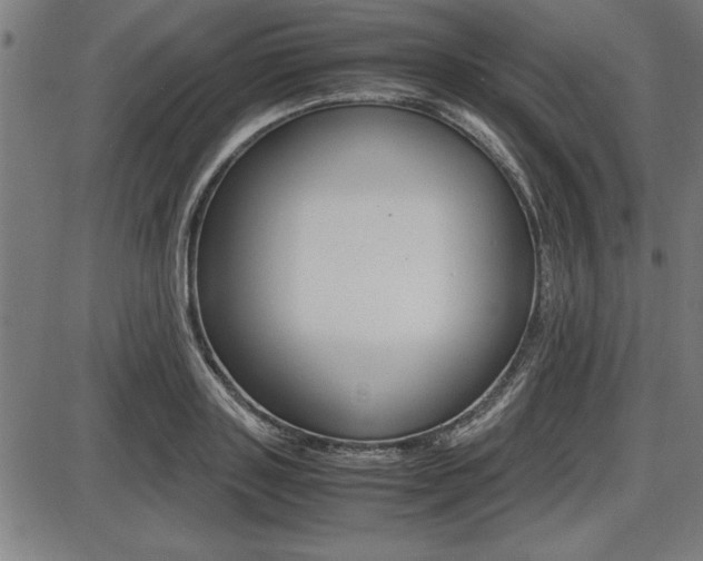 X0000087670843200705040723