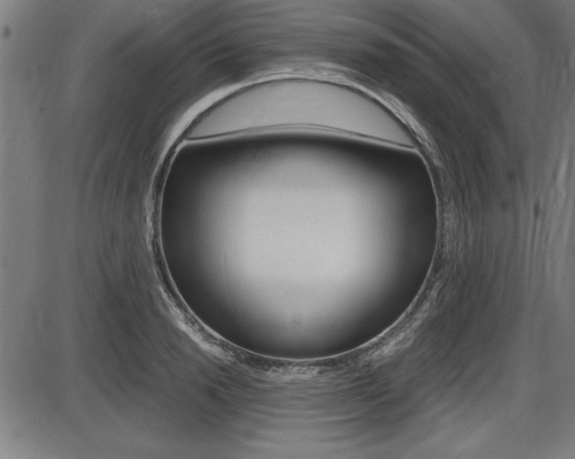 X0000087670846200705040723