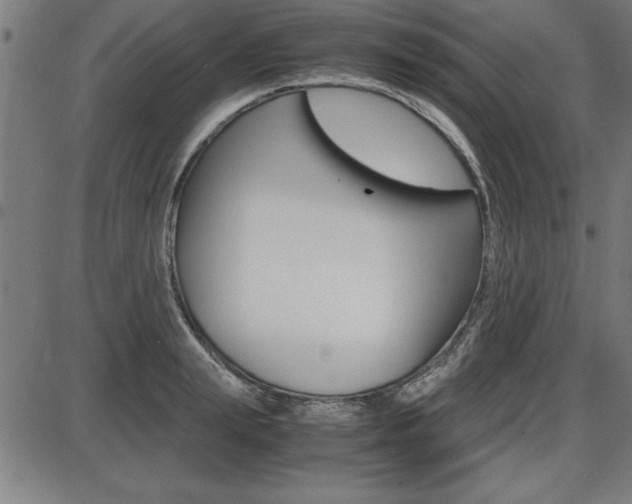 X0000087670847200705040723