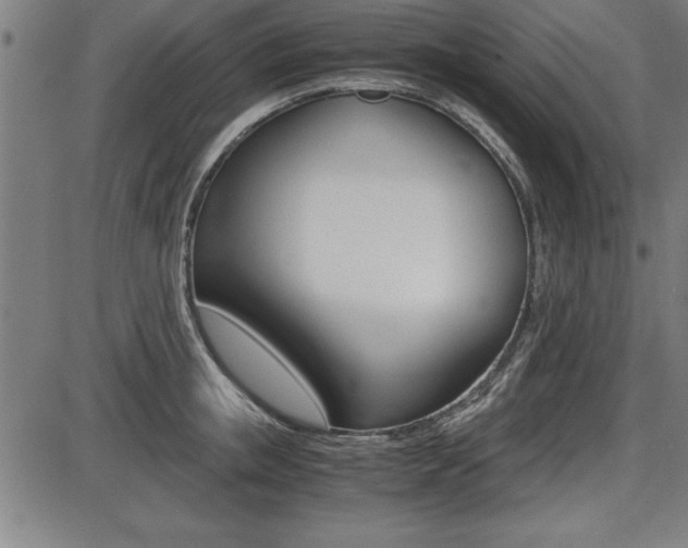X0000087670853200705040723