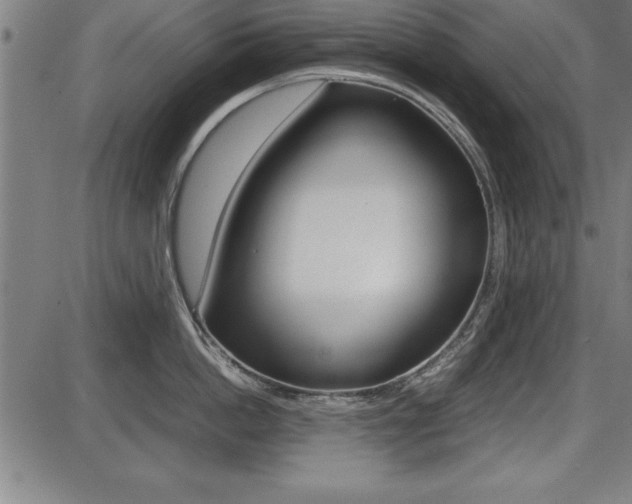 X0000087670862200705040724