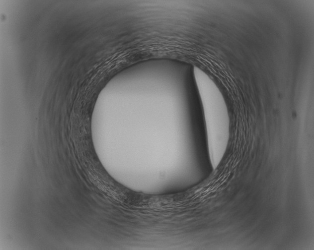 X0000087670865200705040723