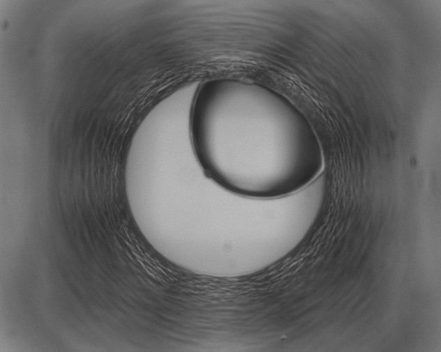 X0000087670868200705040723