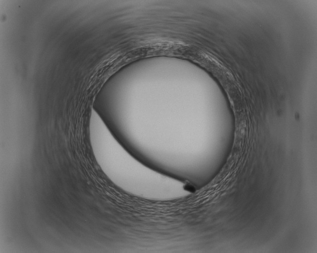 X0000087670869200705040723