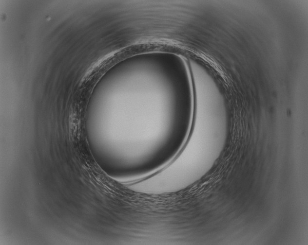 X0000087670872200705040723