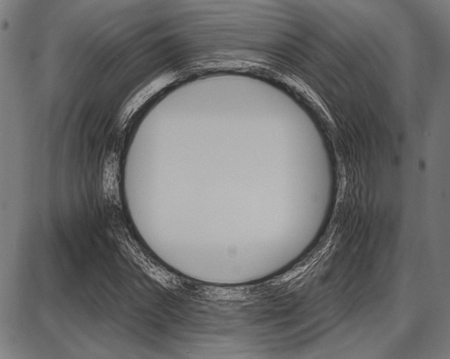 X0000087670874200705040723