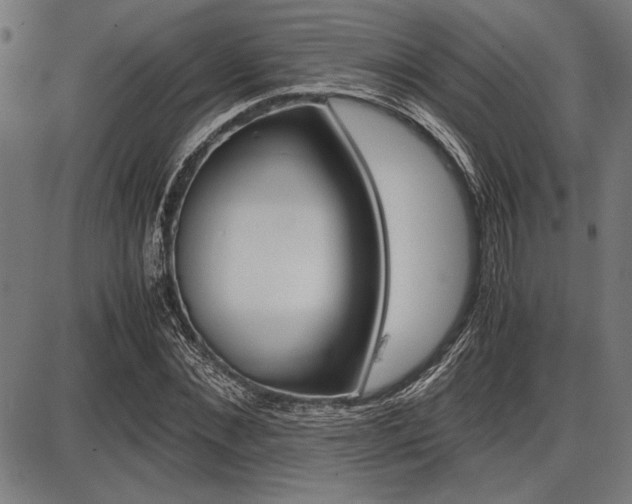 X0000087670876200705040723