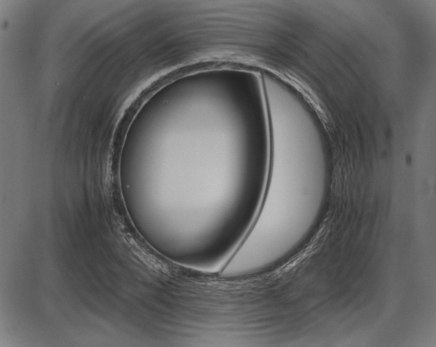 X0000087670880200705040723