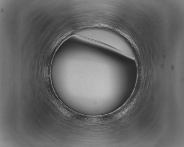 X0000087670881200705040723