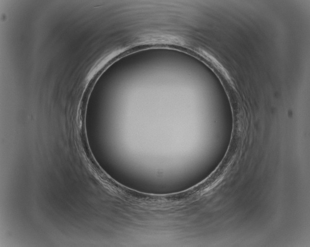 X0000087670885200705040723