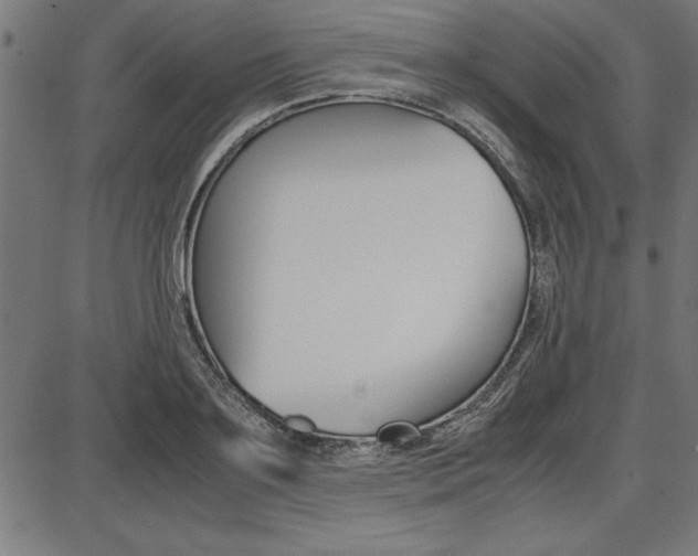X0000087670891200705040722