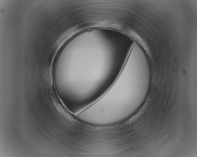 X0000087670892200705040722