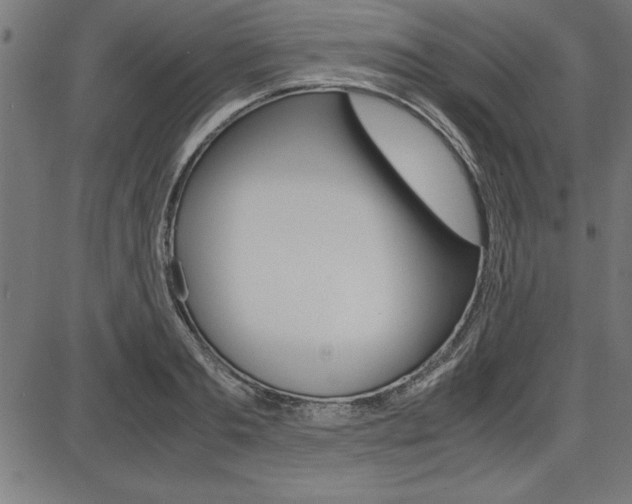 X0000087670893200705040722
