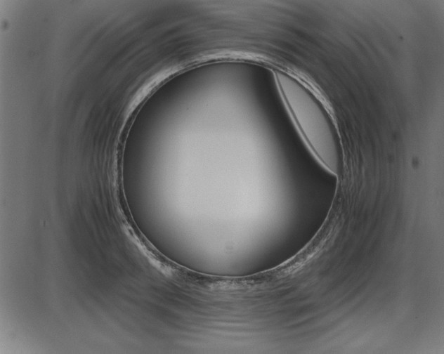 X0000087670898200705040722