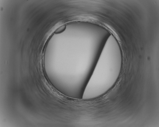 X0000087670899200705040722