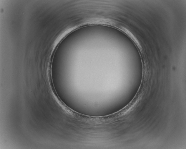 X0000087670901200705040722