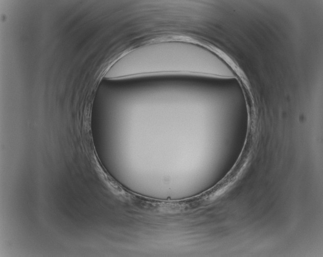 X0000087670905200705040722