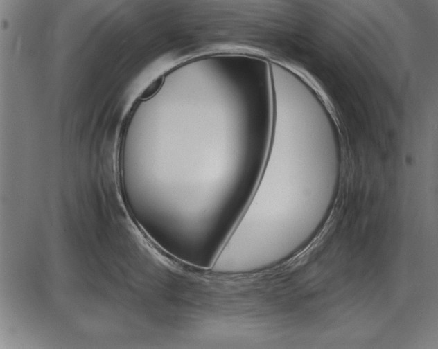 X0000087670910200705040722
