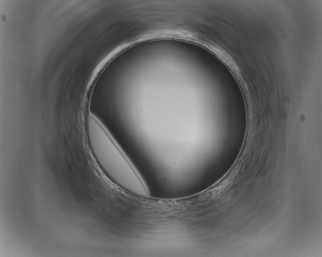 X0000087670912200705040722