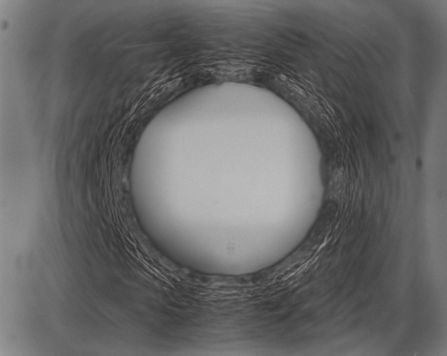 X0000087670913200705040721