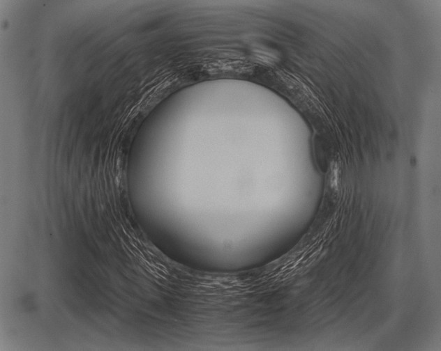 X0000087670915200705040721