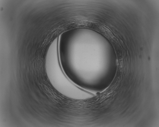 X0000087670916200705040721