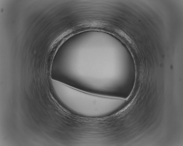 X0000087670922200705040721