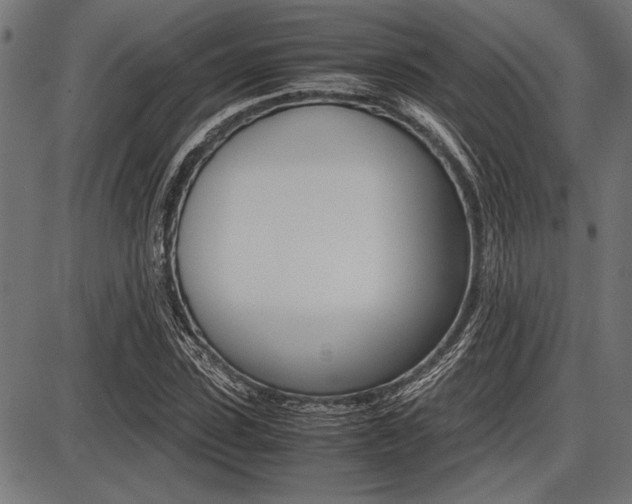 X0000087670923200705040721