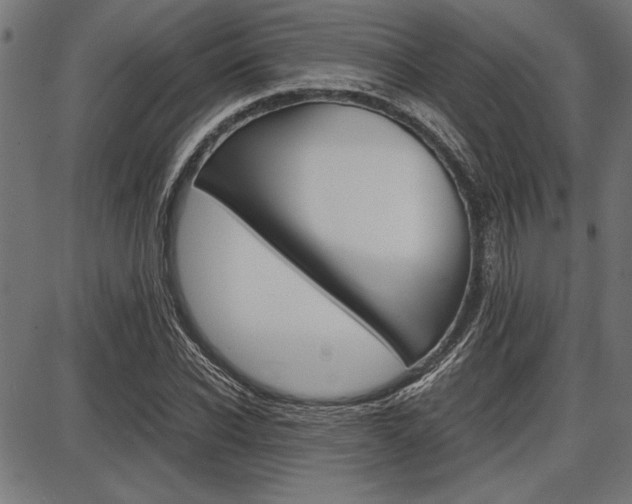 X0000087670926200705040721