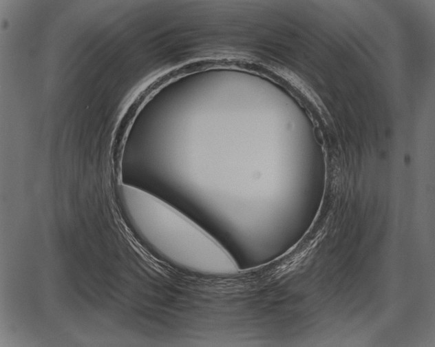 X0000087670927200705040722