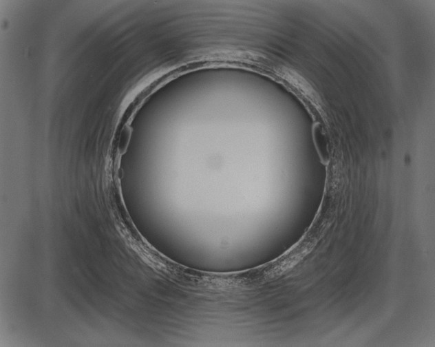 X0000087670928200705040722