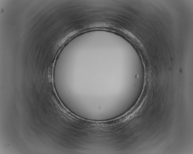 X0000087670929200705040722