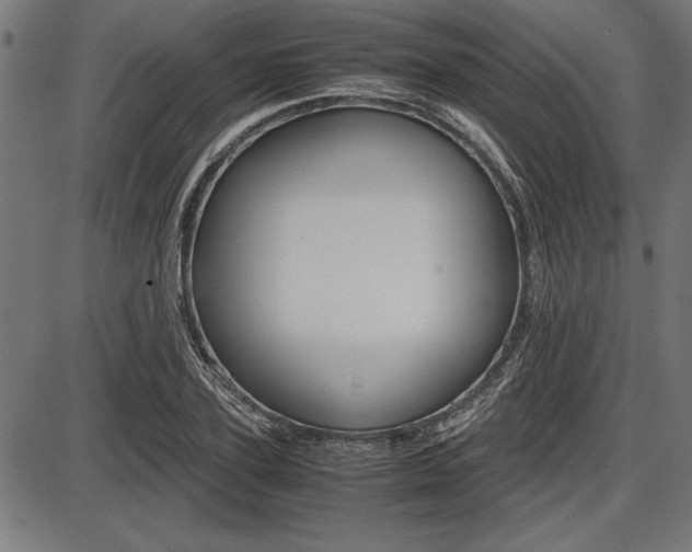 X0000087670931200705040722