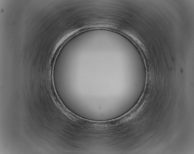 X0000087670933200705040722