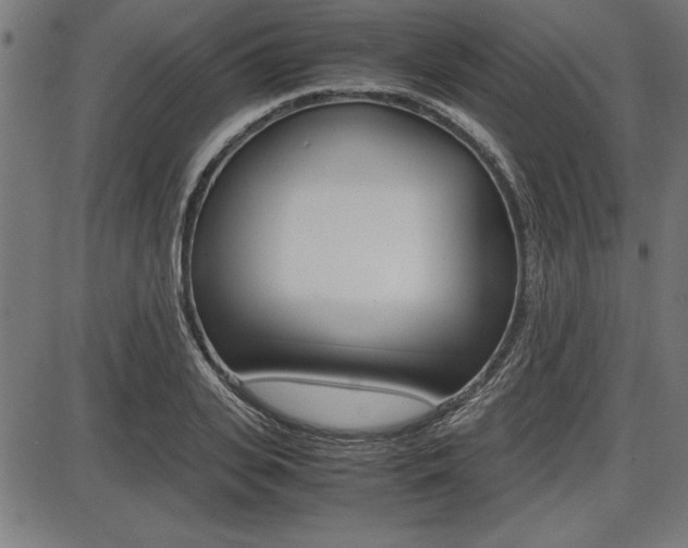 X0000087670935200705040722