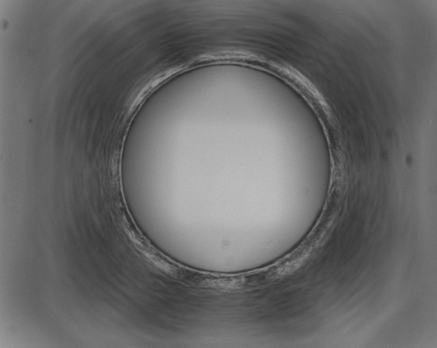 X0000087670937200705040722