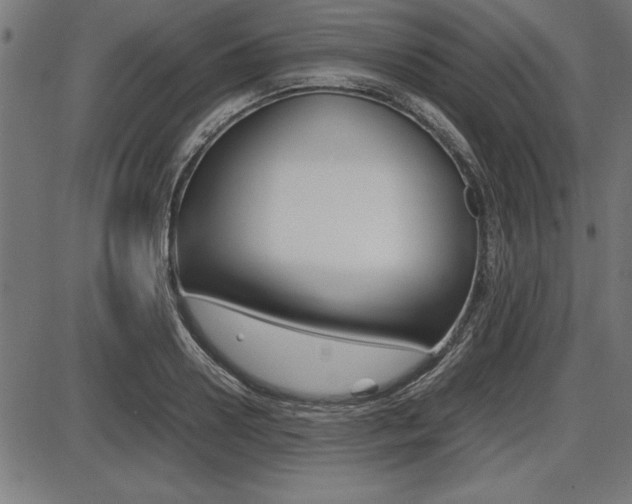 X0000087670938200705040722