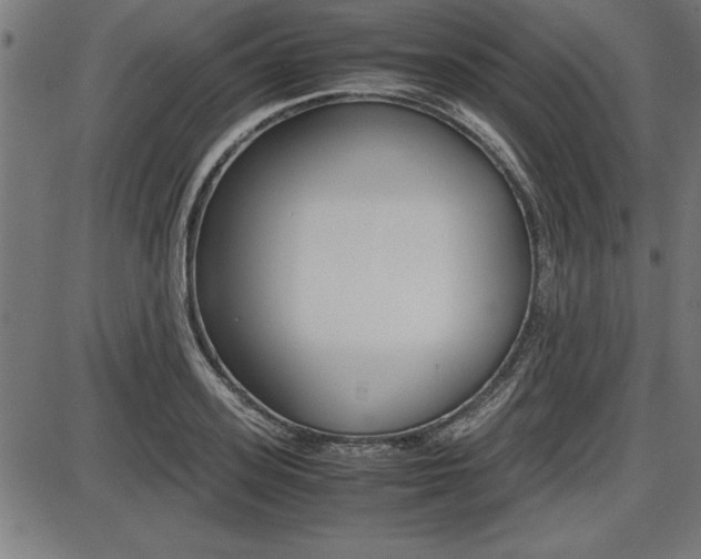 X0000087670939200705040722