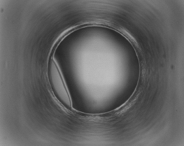 X0000087670940200705040722