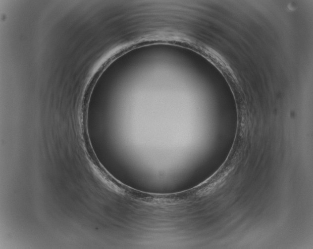 X0000087670942200705040722
