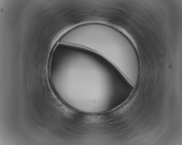 X0000087670943200705040722