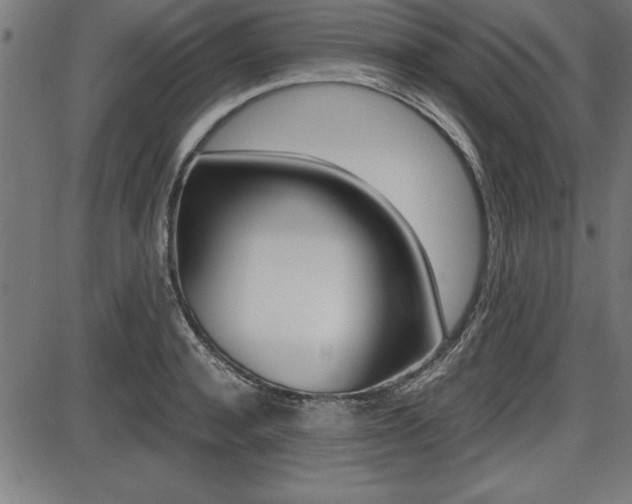 X0000087670944200705040722