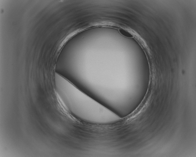 X0000087670945200705040722