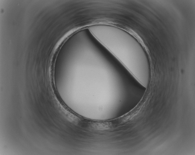 X0000087670947200705040722