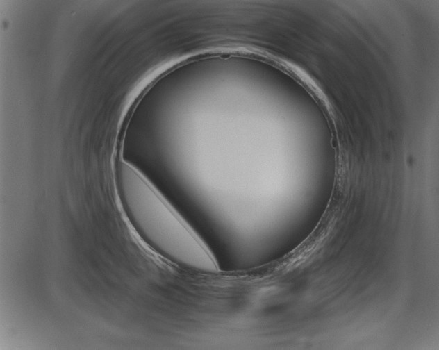 X0000087670951200705040722
