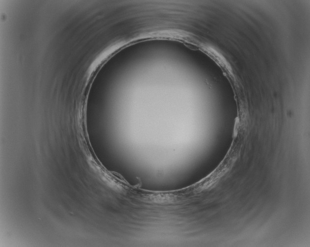 X0000087670952200705040722
