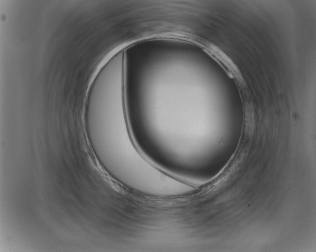 X0000087670956200705040722