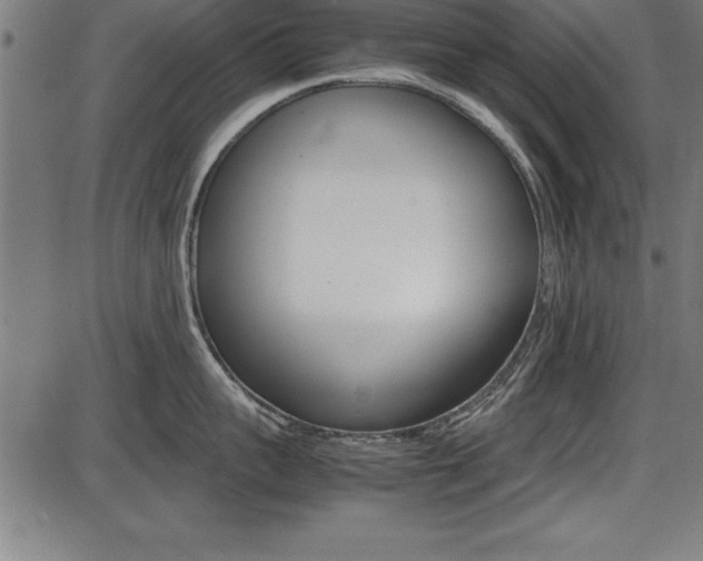 X0000087670959200705040722