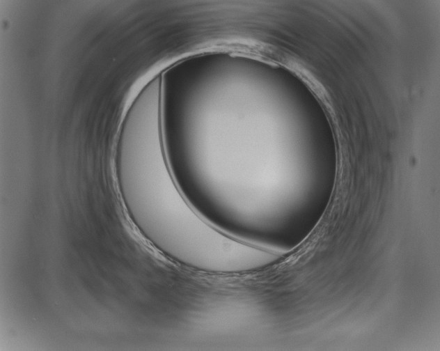 X0000087670960200705040722