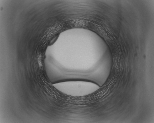 X0000087670962200705040721